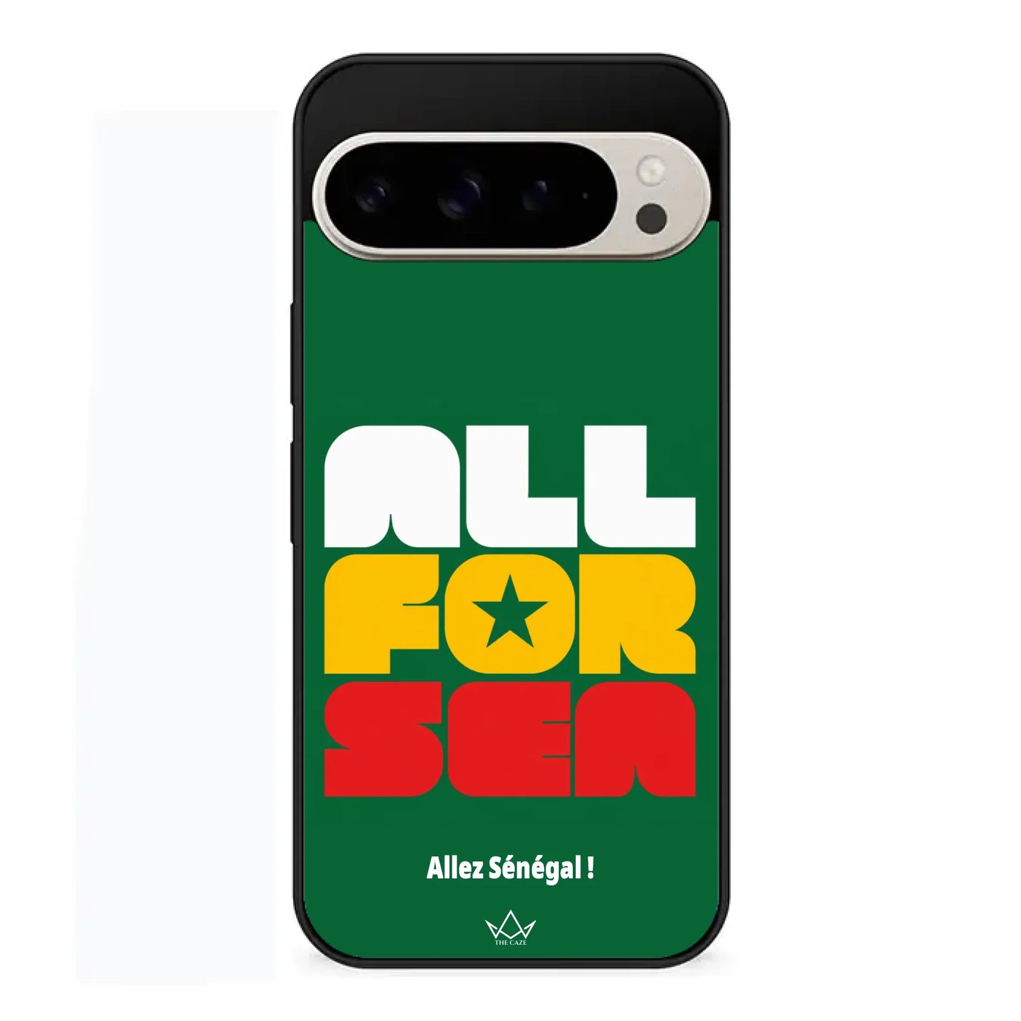 Google Pixel 9 Pro XL case