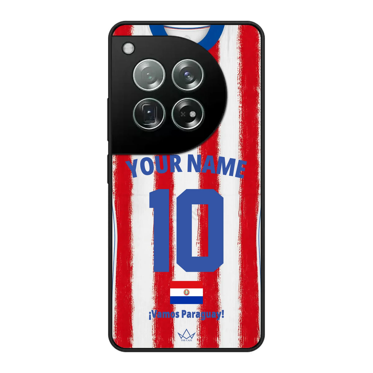 OnePlus 12 case