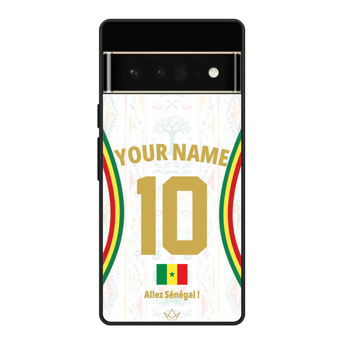 Google Pixel 6 Pro case