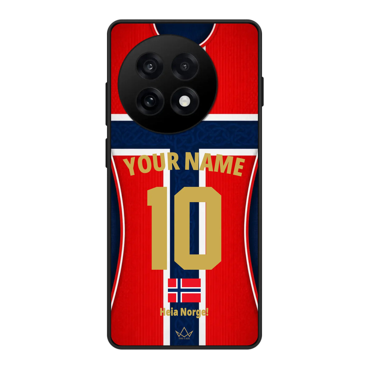 OnePlus 13R case