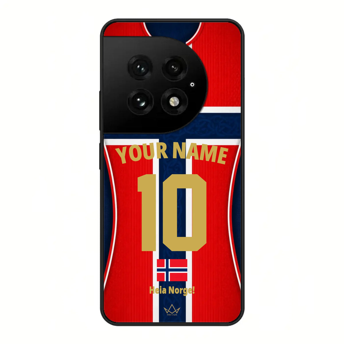 OnePlus 13 case